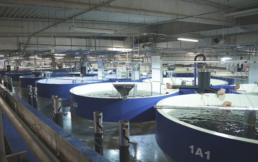 6. शीसे रेशा जल उपचार