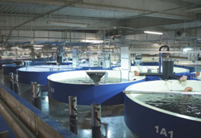 未标题 -1_0002_ 2012 年 年